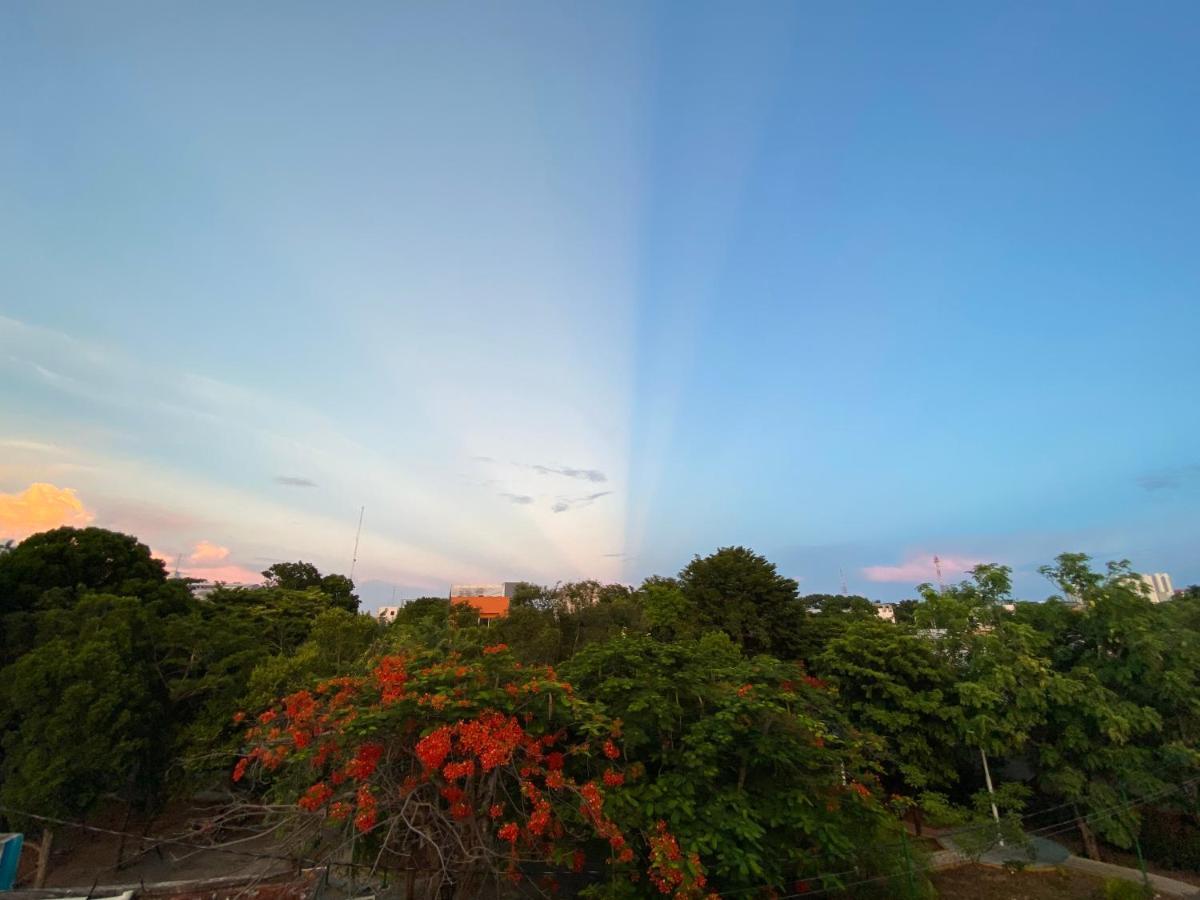 The Quetzal Bed & Breakfast Cancún Exterior foto